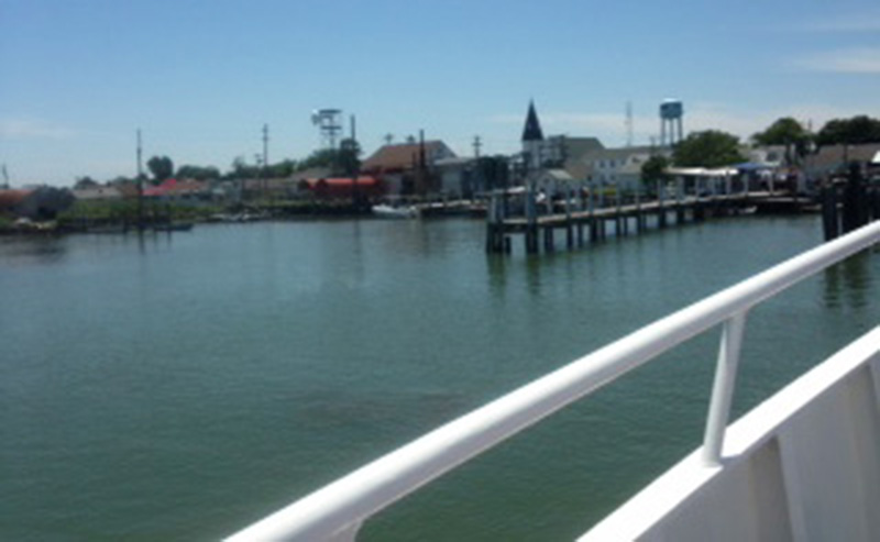 Pic, Cruise Ship 2